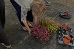 342feca4-b365-47d9-9845-a27a333197ea