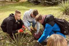 37a50d54-eb33-41b4-9dd3-588f9e542c35