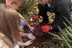 62df7e81-6f0b-4ca0-8c51-0b713ec78b52