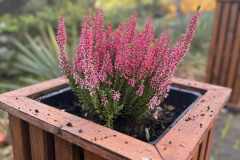 84e25112-cbc1-4964-af2e-781d073872cb