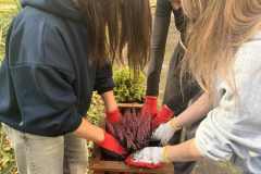 8edbb581-d490-41b4-900a-adf31346f2b5