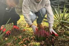 a7227632-b446-4872-8424-78e47aec3fed