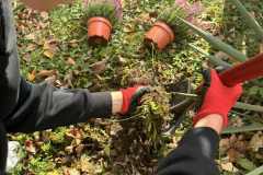 bc51cebd-194a-4fb6-b42b-ccdbfb33afcb