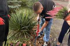 ed737d99-c70a-4b55-bd08-2520be0aab0d