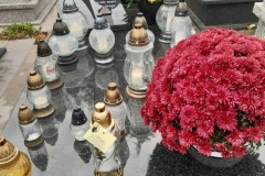 07f29779-29b0-4795-a7c8-f67899442d5e