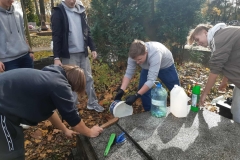 d8a24274-35fb-4979-9313-36ca7b6fb0c6