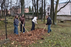 d9b95f77-8a90-416b-b131-c8ee49233f16