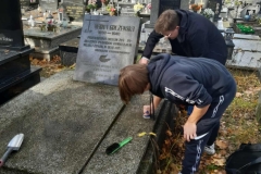 dc955af1-c148-426d-8238-73e319dfa150