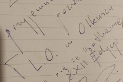 506449764_1277216111077223_3425585282646814817_n