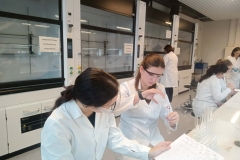 10617046-5bf2-45d5-8e26-16bedc3a9a6e