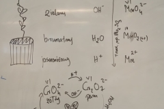 2c6a92ca-446c-4e72-af6c-b5e95a270cec