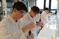 85b0b613-7294-4dcc-9336-479ca4d321ec