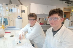 95349bae-6fc3-4925-80ae-440f53aef750