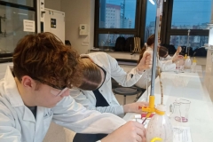 95606190-033f-4d46-b80f-a646f37a2db3