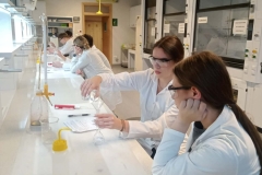 c0fad05c-53fa-4e33-bd9a-459b97212257