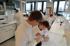 c2c03284-870e-4621-adf1-228fa8516e46