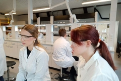 d74fe25a-d076-4ece-b367-dd0c35b1674e