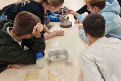 IMG-20250927-WA0015