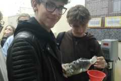 IMG-20250927-WA0018