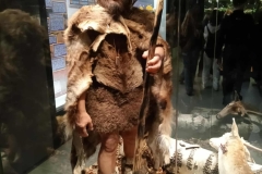 5db6e186-91f2-407e-a8d2-9c425ac091d7