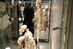 6a830e57-035e-401c-9955-e30b52b95b1b