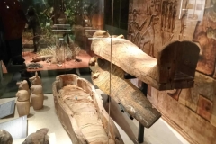 d3af91a4-a5da-4c1a-b0b2-d740bc884f17