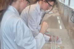 623239922_1479111860887646_8765520284774366379_n