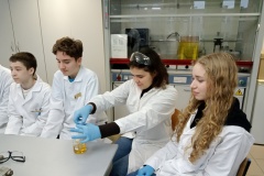 IMG20260129093015-—-kopia