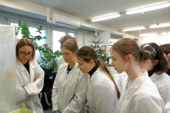 IMG20260129104855-—-kopia