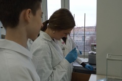 IMG20260129115445-—-kopia