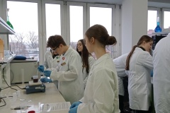 IMG20260129121521-—-kopia