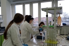 IMG20260129121523-—-kopia