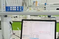 IMG20260129122631-—-kopia